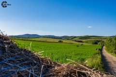 bogacs1